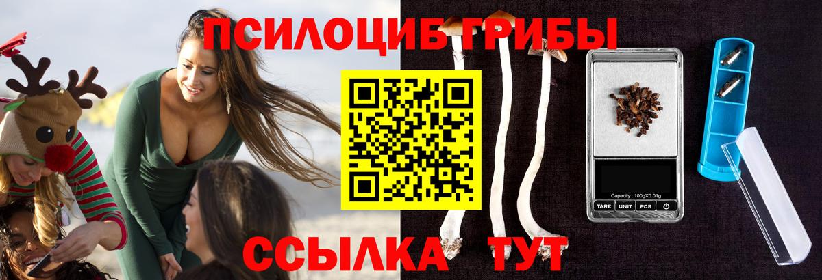Братск  Галлюциногенные грибы Psilocybine cubensis  Вход с VPN 